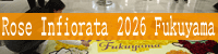 Rose Infiorata 2026 Fukuyama